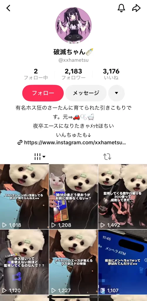 競艇インフルエンサー「破滅ちゃん」のTikTokの投稿